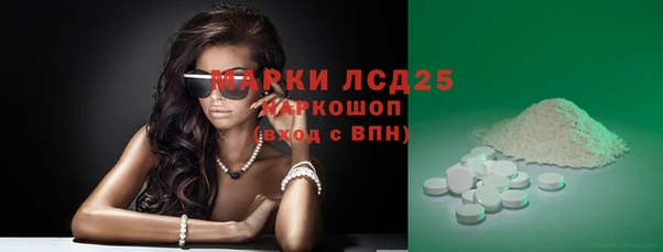 твердый Ельня