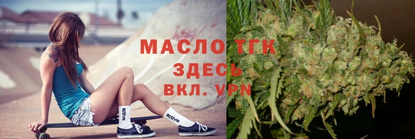 твердый Ельня
